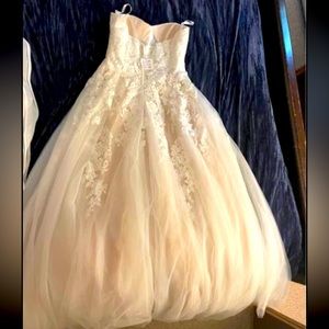 Never worn wedding dress with vail